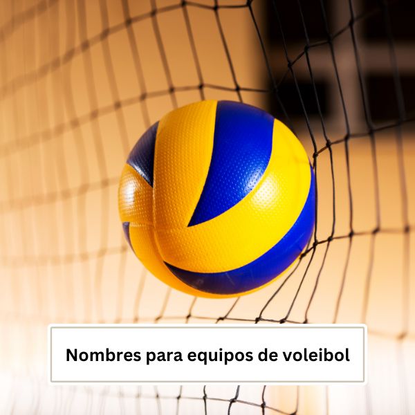 Nombres para equipos de voleibol