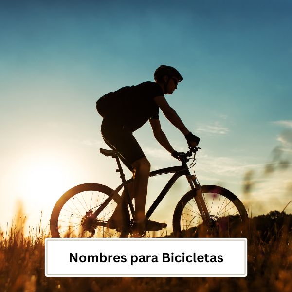Nombres para Bicicletas